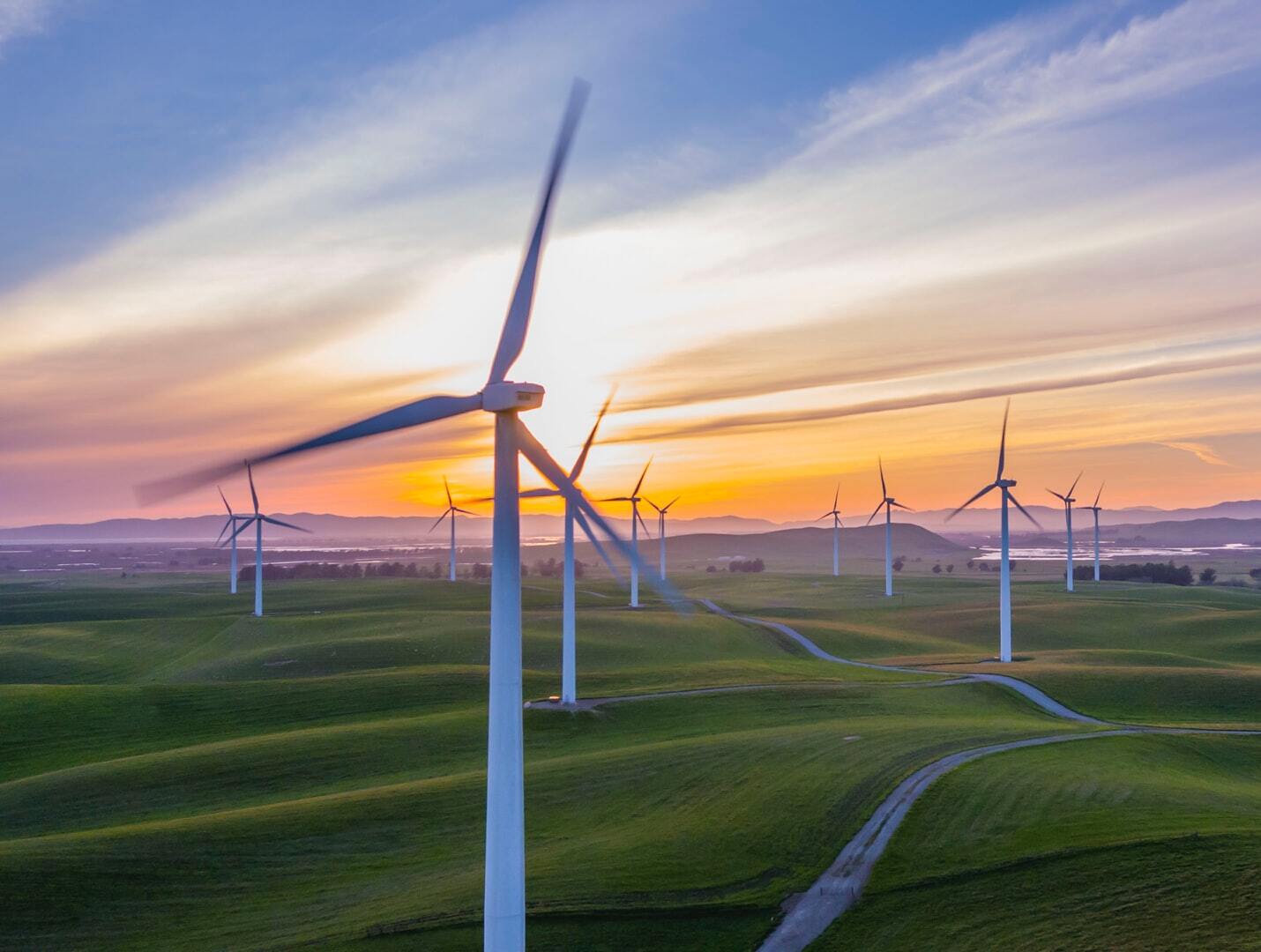 lots of wind mills on green field