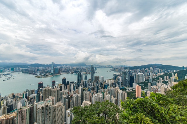 City Buildings and Green Trees Near Ocean